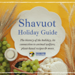 Shavuot Holiday Guide. The history of the holiday, its connections to animal welfare, plant based recipes, and more