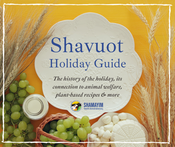 A Vegan Guide to Celebrating Shavuot