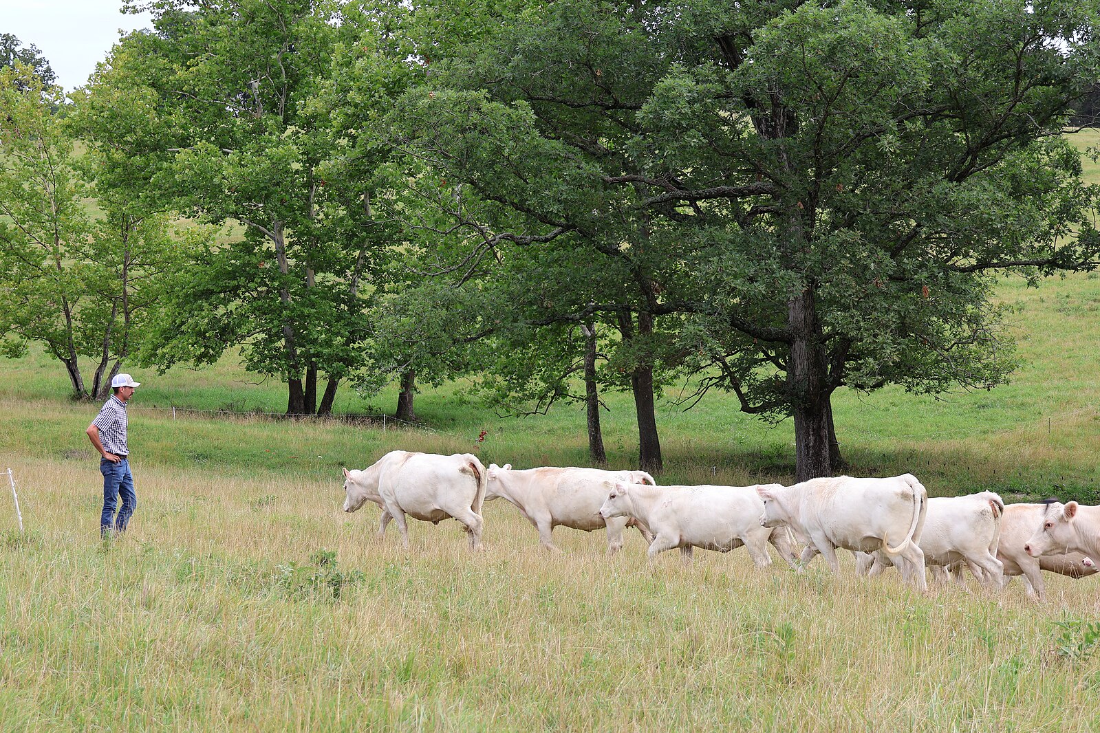 Does Judaism Support Regenerative Farming?