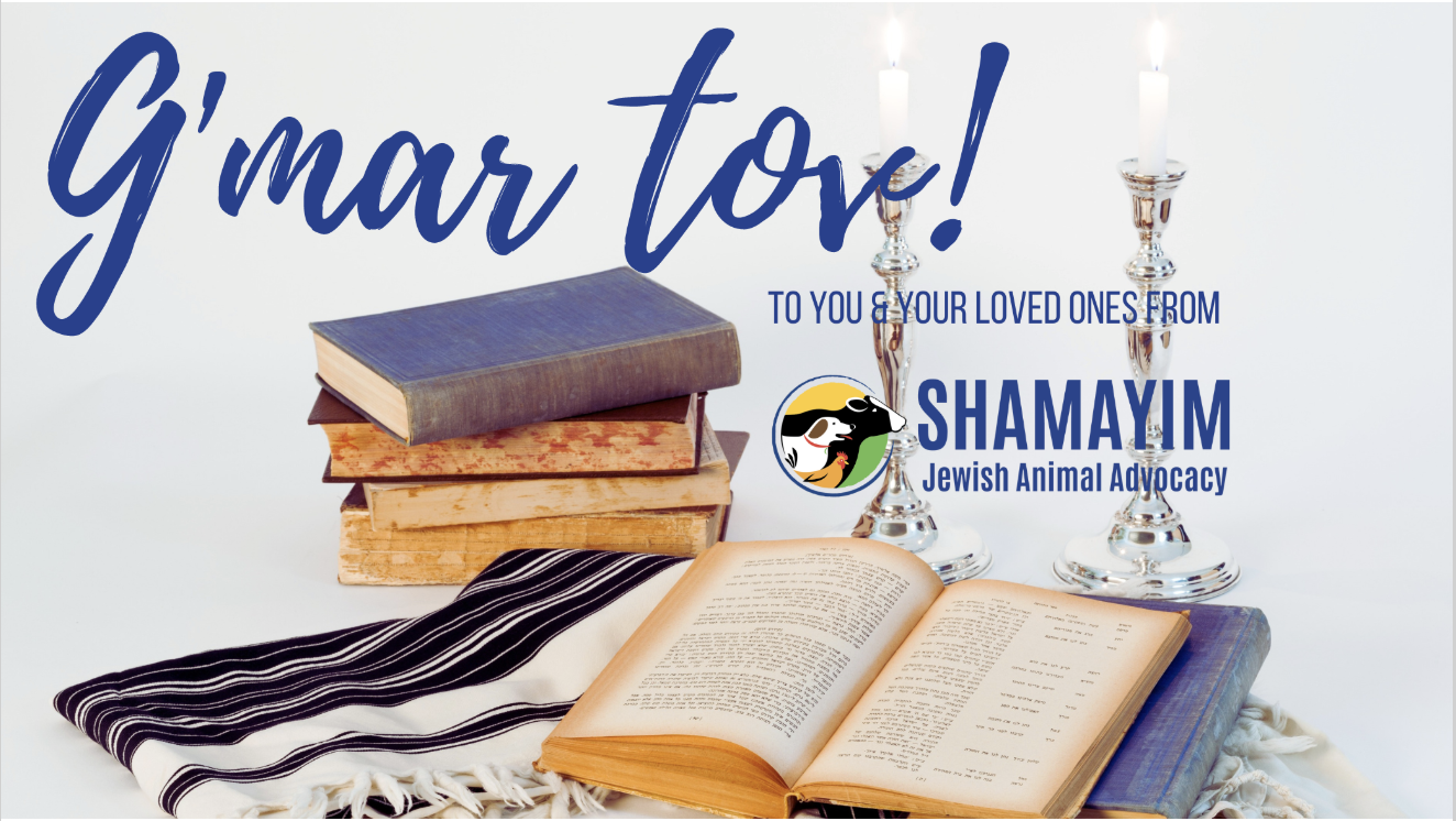 A Vegan Guide to Yom Kippur 2025