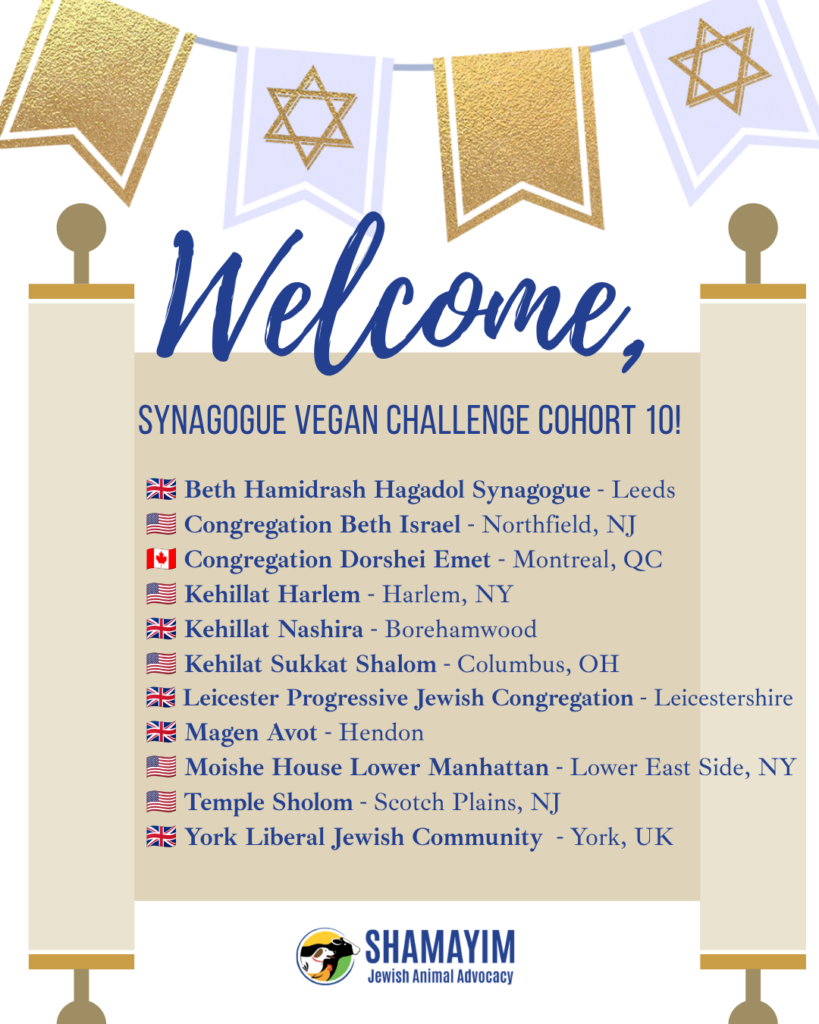 🌱 Welcome to our 10th annual Synagogue Vegan Challenge cohort! 🌱
This milestone year brings together communities across the UK, USA, and Canada, all taking part in a shared journey of compassion & community. With this we celebrate ten years of synagogues choosing kindness on their plates!
Welcome, Cohort 10, and Mazel Tov! 💚